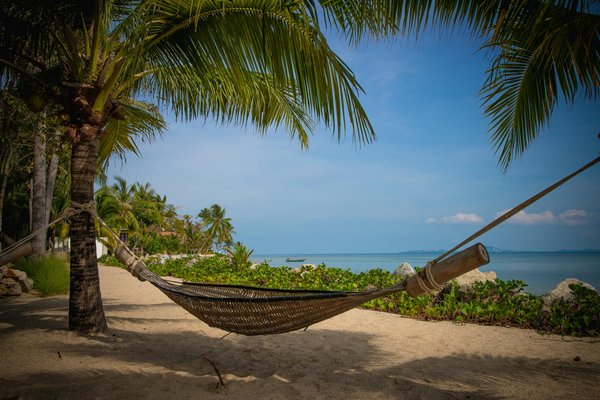 Les répercussions révolutionnaires du festival de cannes sur la mode et les tendances modernes